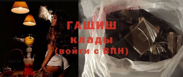 хмурый Арсеньев