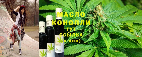 хмурый Арсеньев