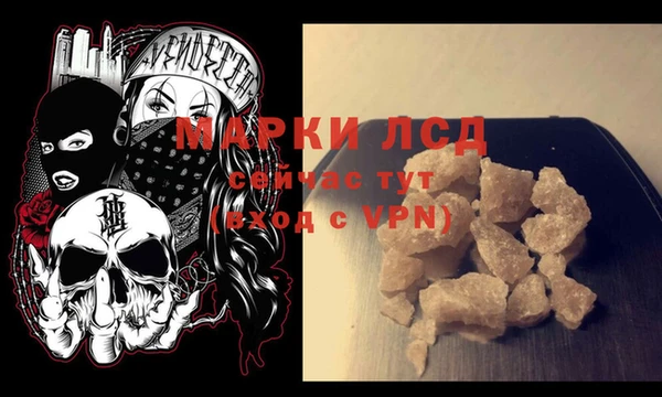 хмурый Арсеньев
