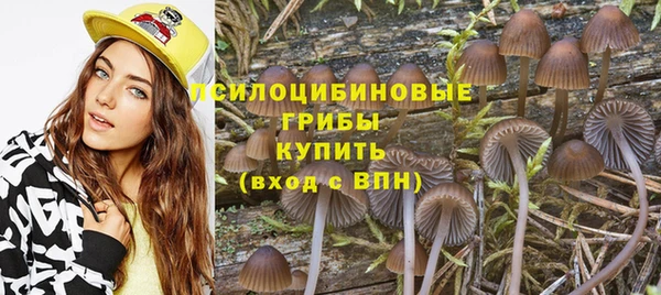 хмурый Арсеньев