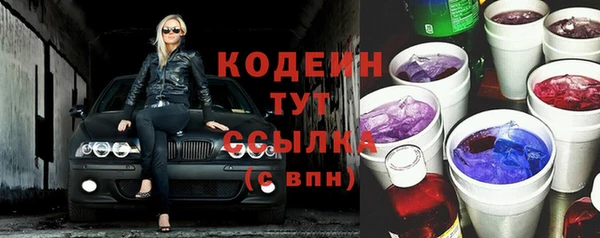 хмурый Арсеньев